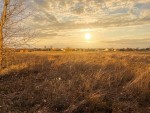 не призначена (с. Мироцкое, Киево-Святошинский район) - Продається ділянка під забудову, 20000 $ - АФНУ