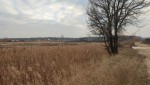 не призначена (с. Горенка, Киево-Святошинский район) - Продається сільськогосподарська ділянка, 13500 $ - АФНУ