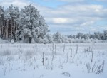 Дмитрівська сільська рада (с. Дмитровка, Киево-Святошинский район) - Продається ділянка під забудову, 13000 $ - АФНУ