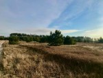 Дмитрівська сільська рада (с. Дмитровка, Киево-Святошинский район) - Продається сільськогосподарська ділянка, 13000 $ - АФНУ
