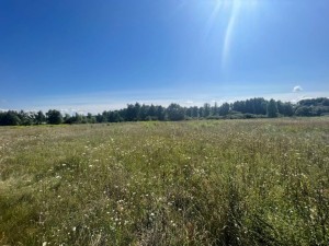 вул.Польова (с. Мотижин, Макаровский район) - Продається сільськогосподарська ділянка, 19700 $ - АФНУ