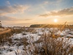 не призначена (пгт. Гостомель, г. Ирпень) - Продається сільськогосподарська ділянка, 10000 $ - АФНУ