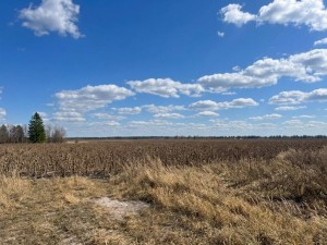 не призначена (с. Язвинка, Бородянский район) - Продається сільськогосподарська ділянка, 3500 $ - АФНУ